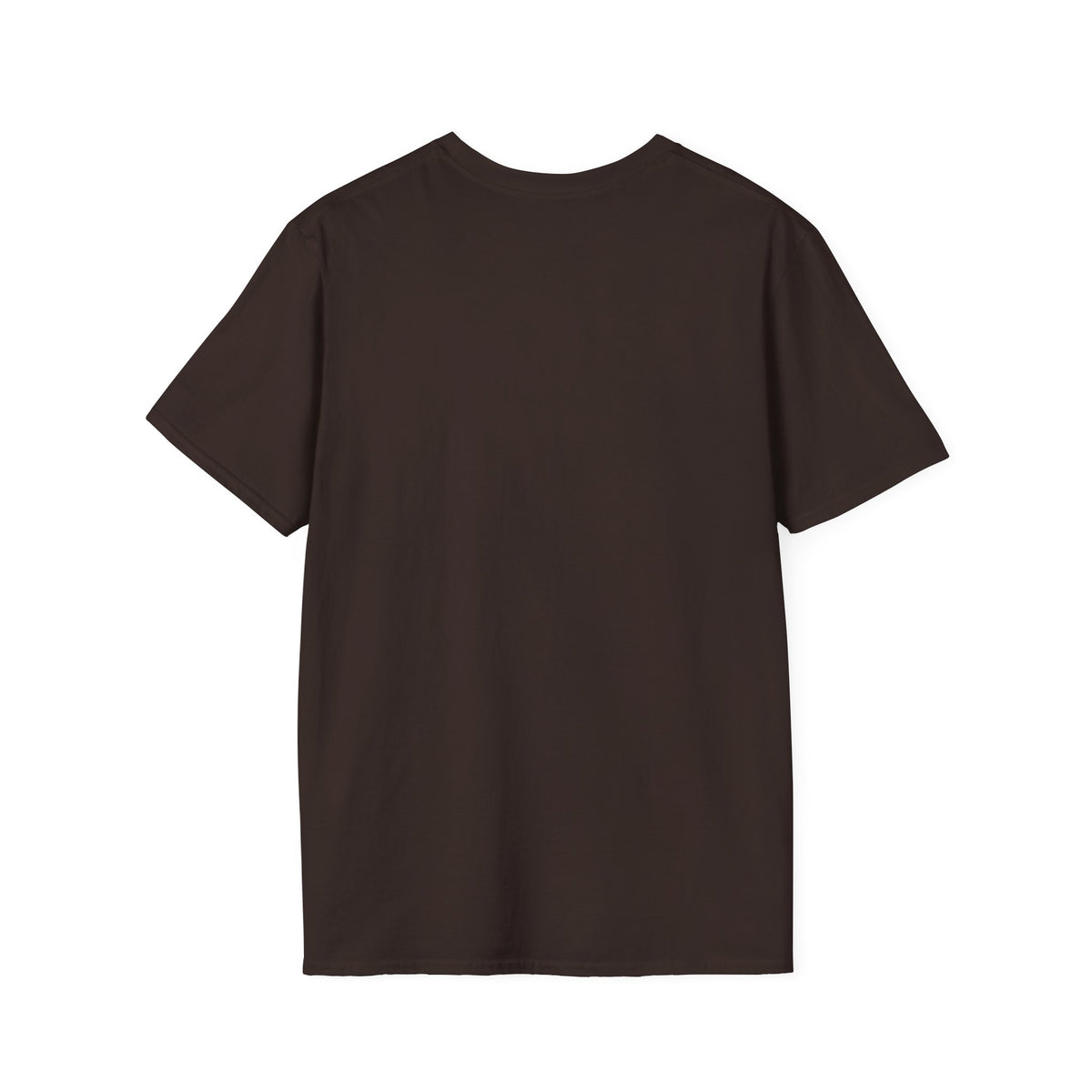 Evidence of a Divine Presence T-Shirt
