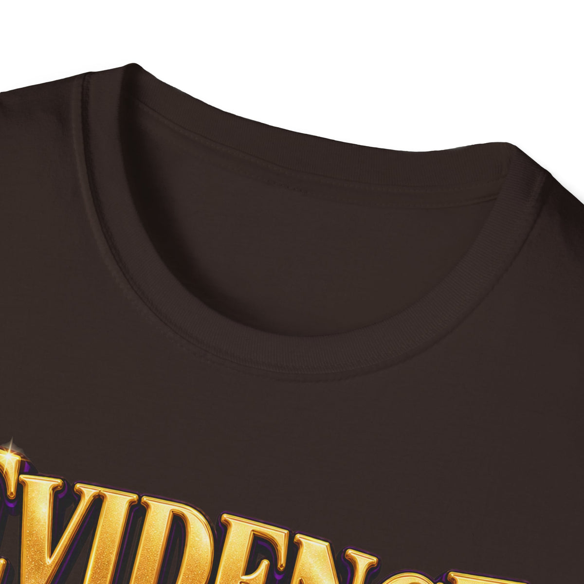 Evidence of a Divine Presence T-Shirt
