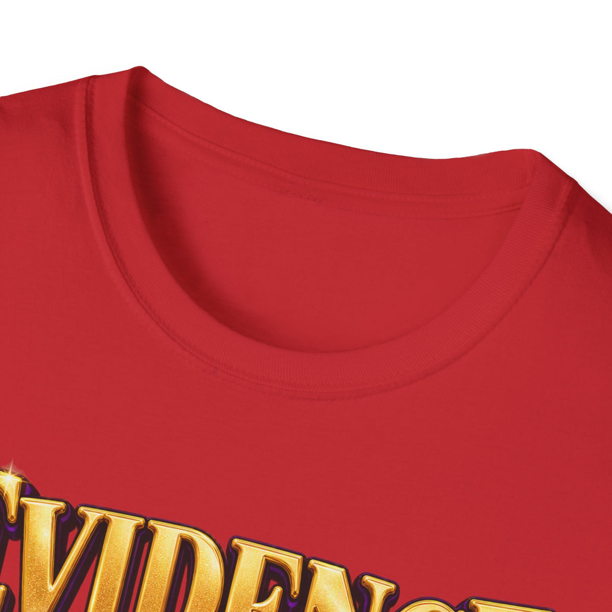 Evidence of a Divine Presence T-Shirt